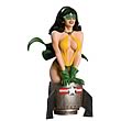 Women of the DC Universe Series 2 Phantom Lady Bust